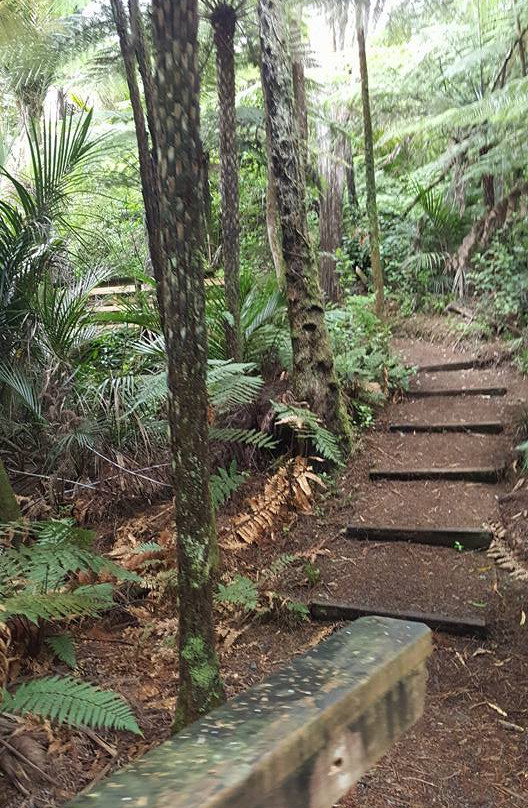 Pohuehue Waterfalls-瓦卡沃夫必去景点