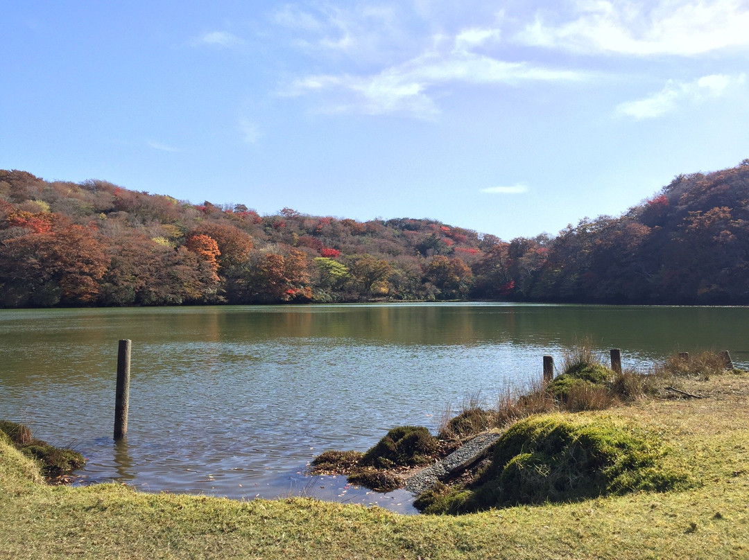 Hatchoike Pond-伊豆市必去景点