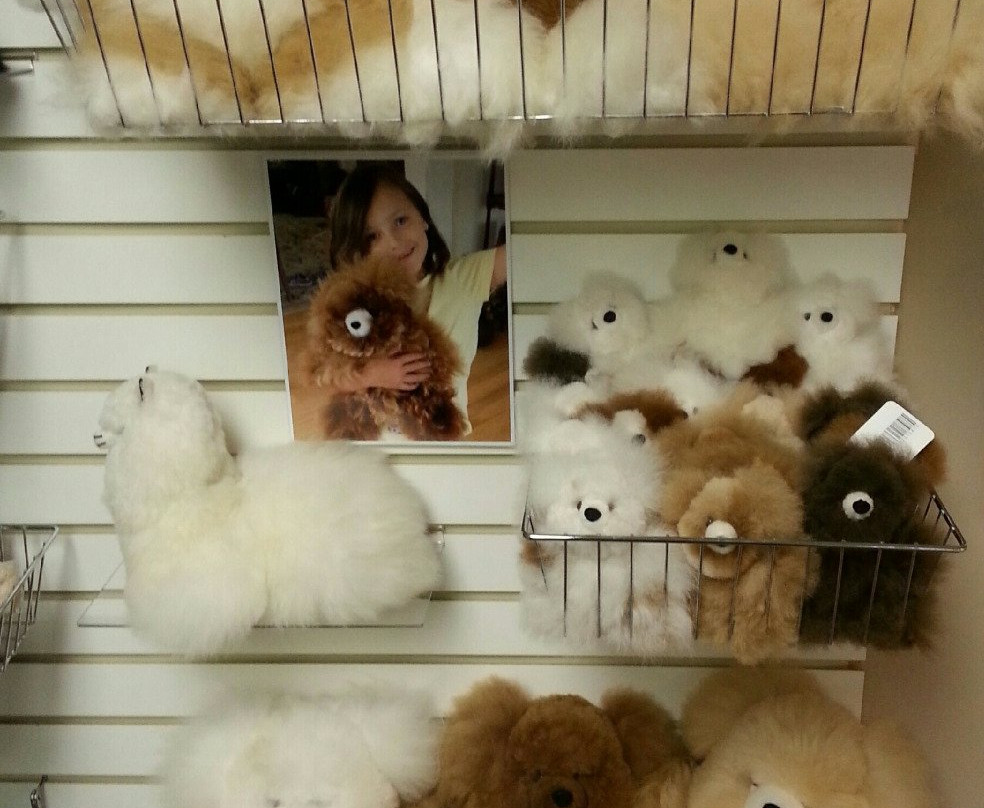 Fox Wire Farm Alpacas-Toano必去景点