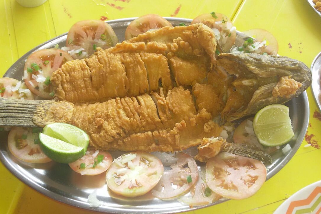 Bar E Restaurante - Murcegão