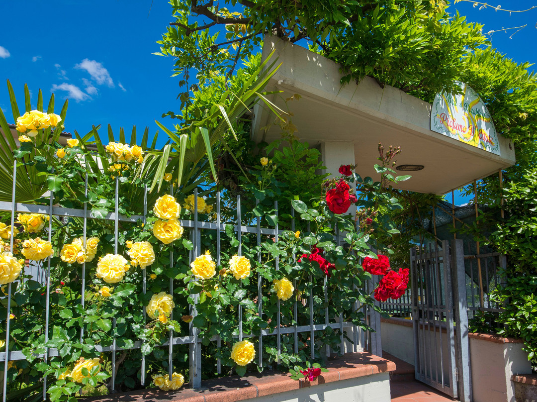 Bed & Breakfast Profumo D`Estate主图