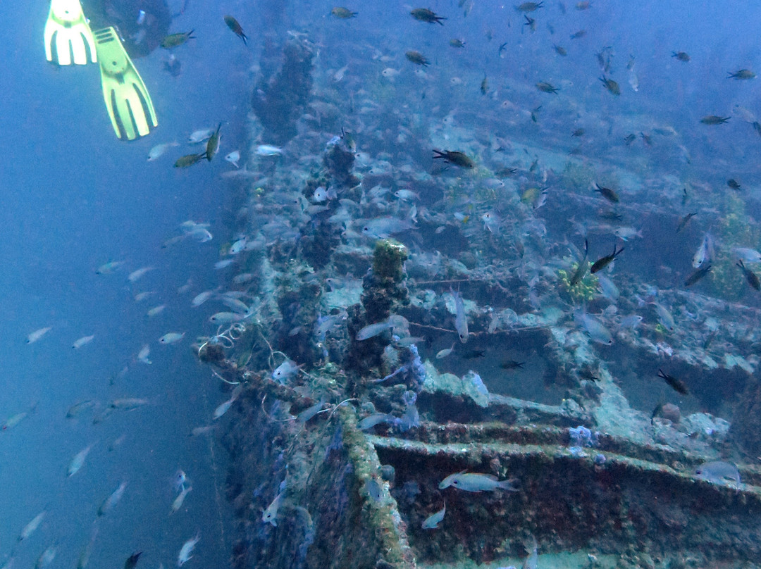 Diving Club Peoples景点图片