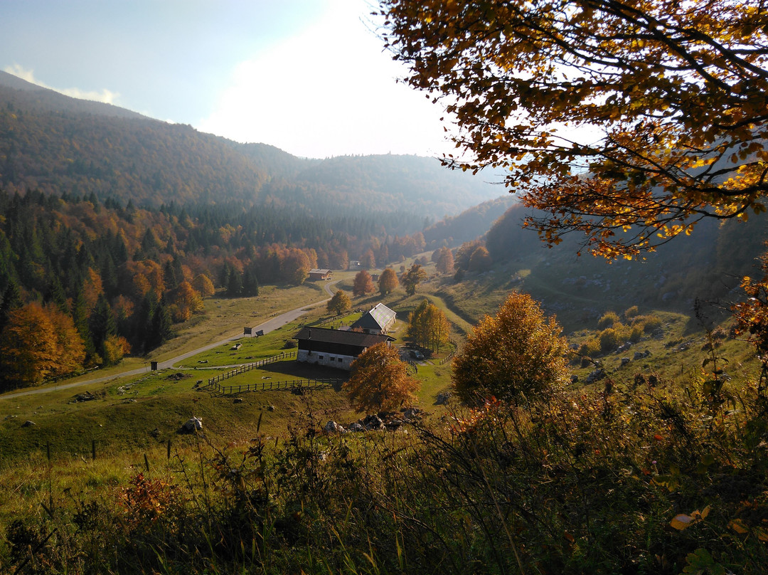 Ristorante Dell'Agriturismo Malga Valli
