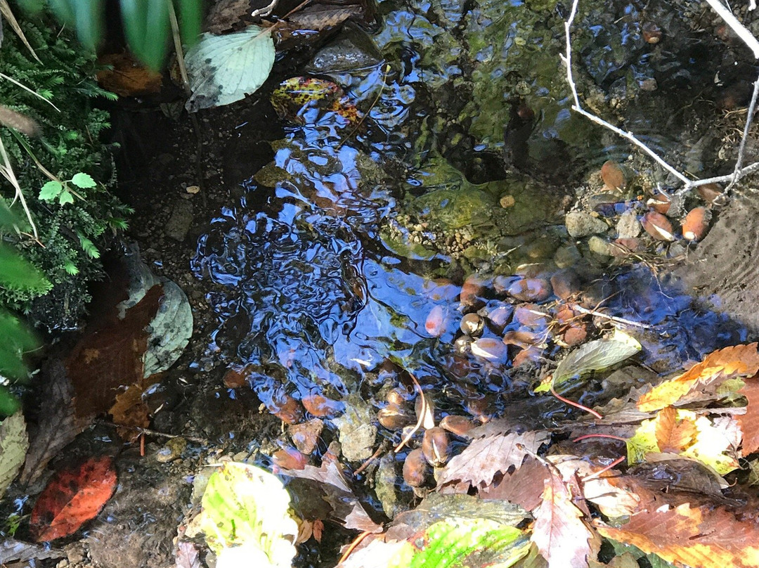 Kurohime Dowakan-信浓町 必去景点