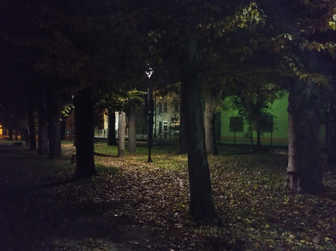 Villa Giglioli e Parco Comunale