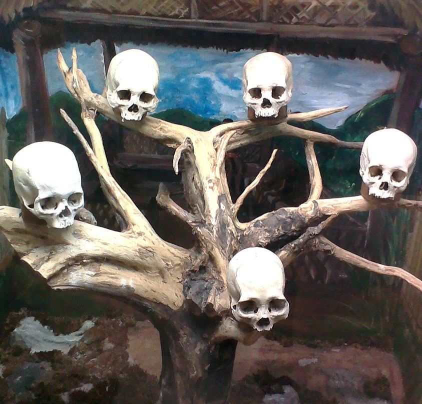 Kohima Museum-Kohima必去景点