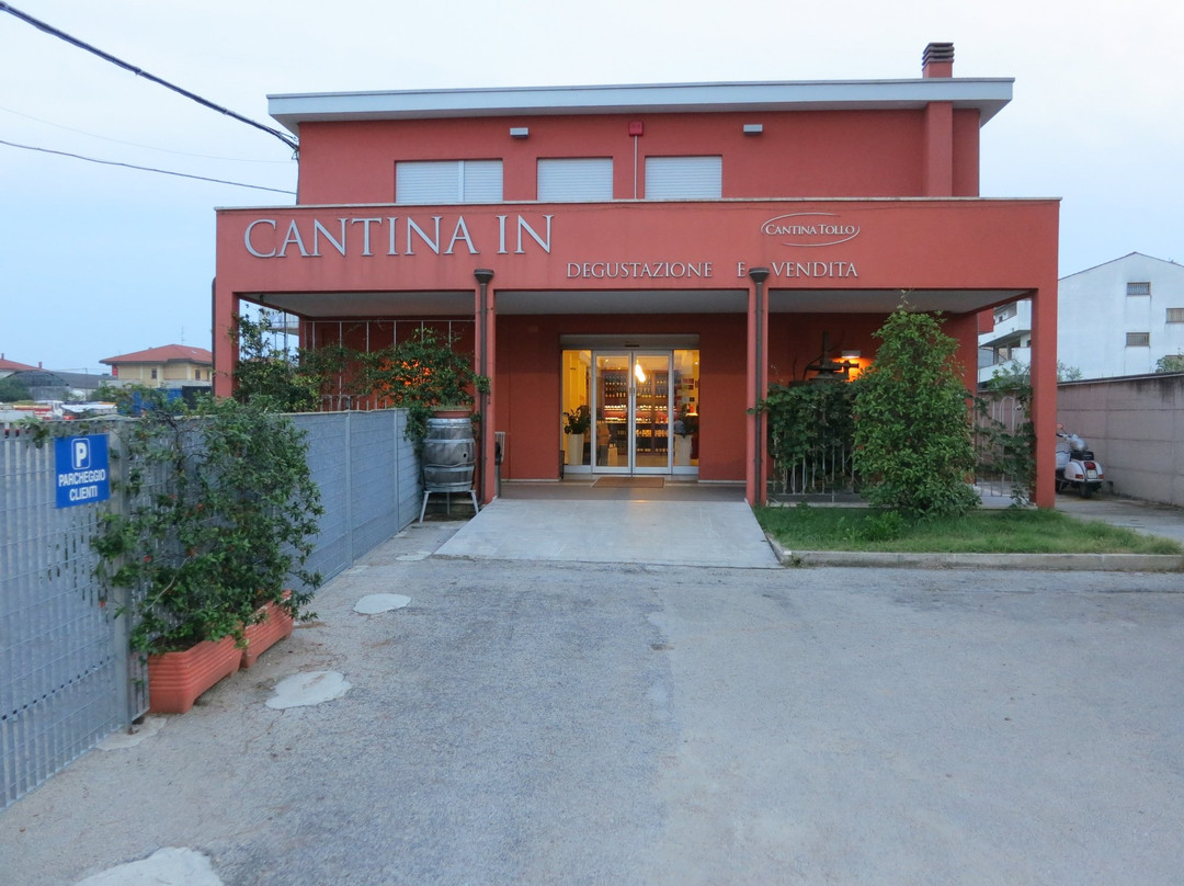 cantina Tollo景点图片
