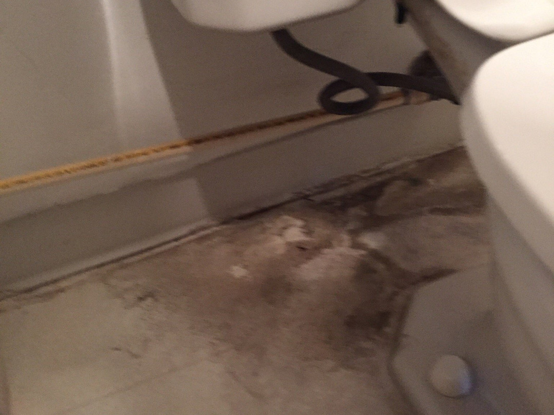 Cypress Tree Motel主图