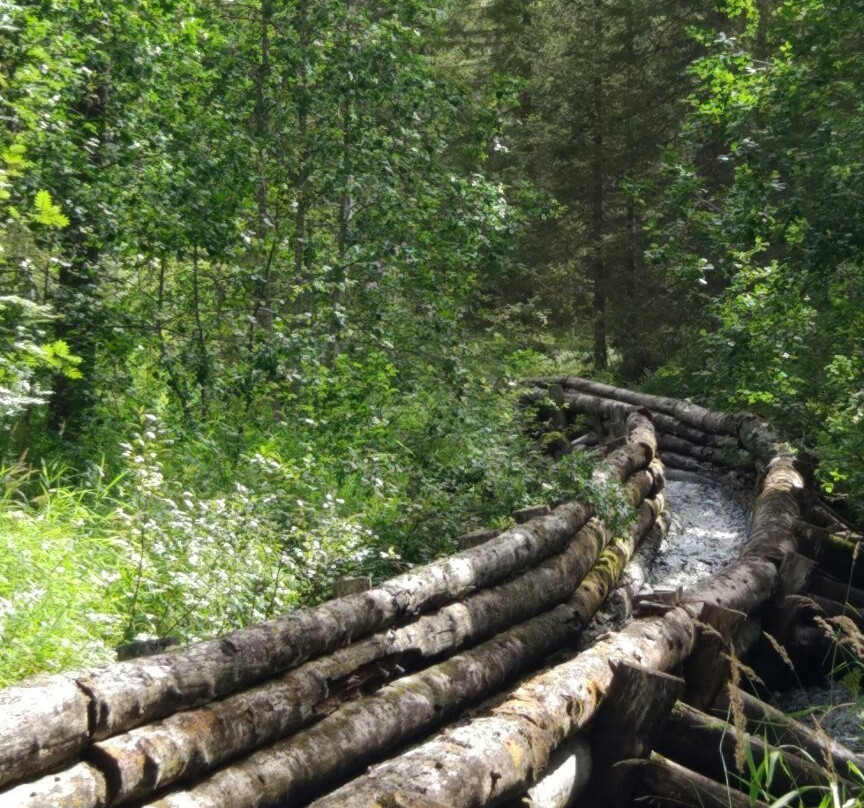 Riutukan Kämppä-Suomu必去景点