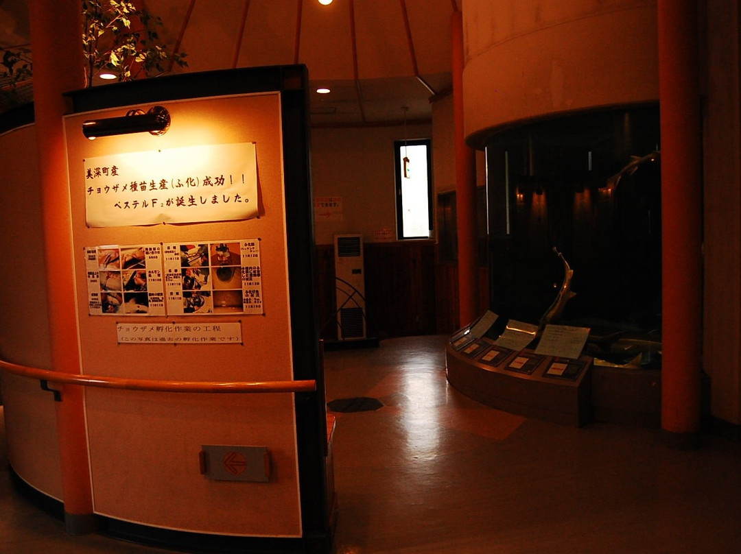 Bifuka Sturgeon Museum-美深町必去景点