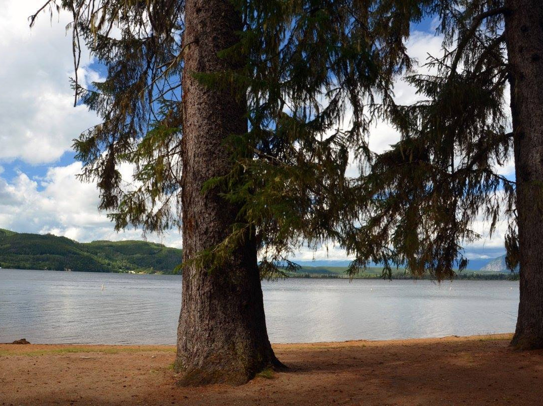 Lakelse Lake Provincial Park景点图片