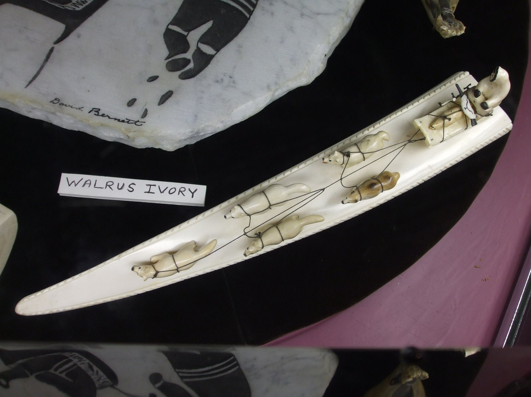 Bouchard's International Dog Mushing and Sled Museum-费尔班克斯必去景点