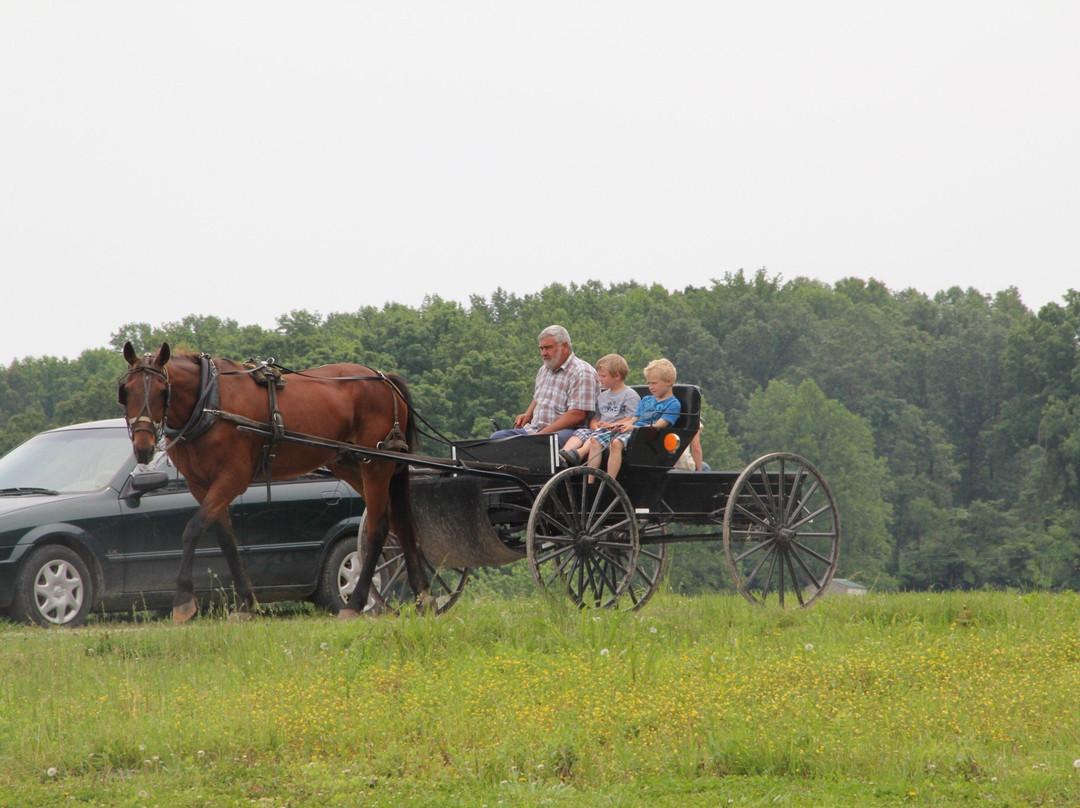 Habbeger's Amish Market-Scottsville必去景点