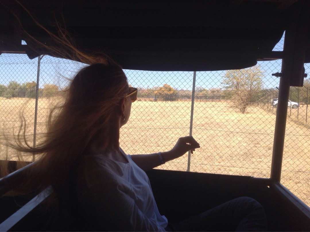 De Wildt Shingwedzi Cheetah Ranch-贝拉贝拉必去景点