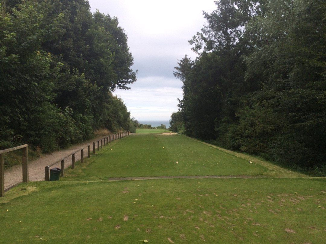 Sene Valley Golf Club-福克斯通必去景点