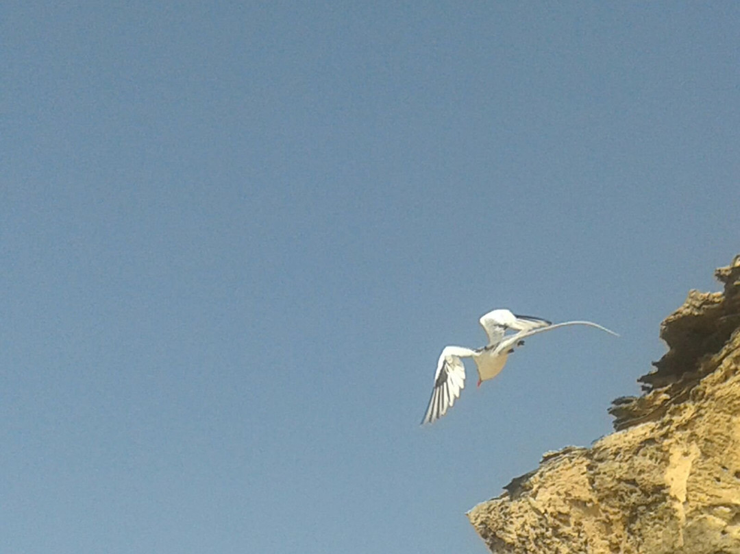 Sabura Center-萨尔雷必去景点