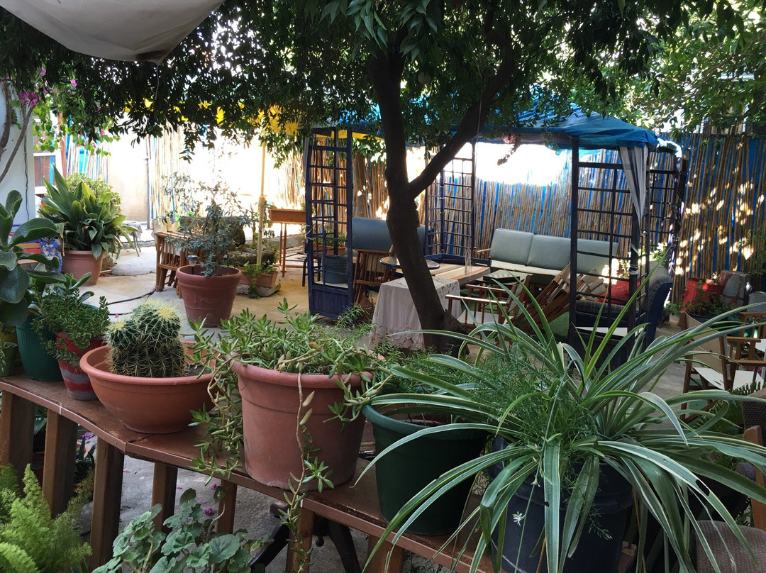 Technis Dromena-尼科西亚必去景点