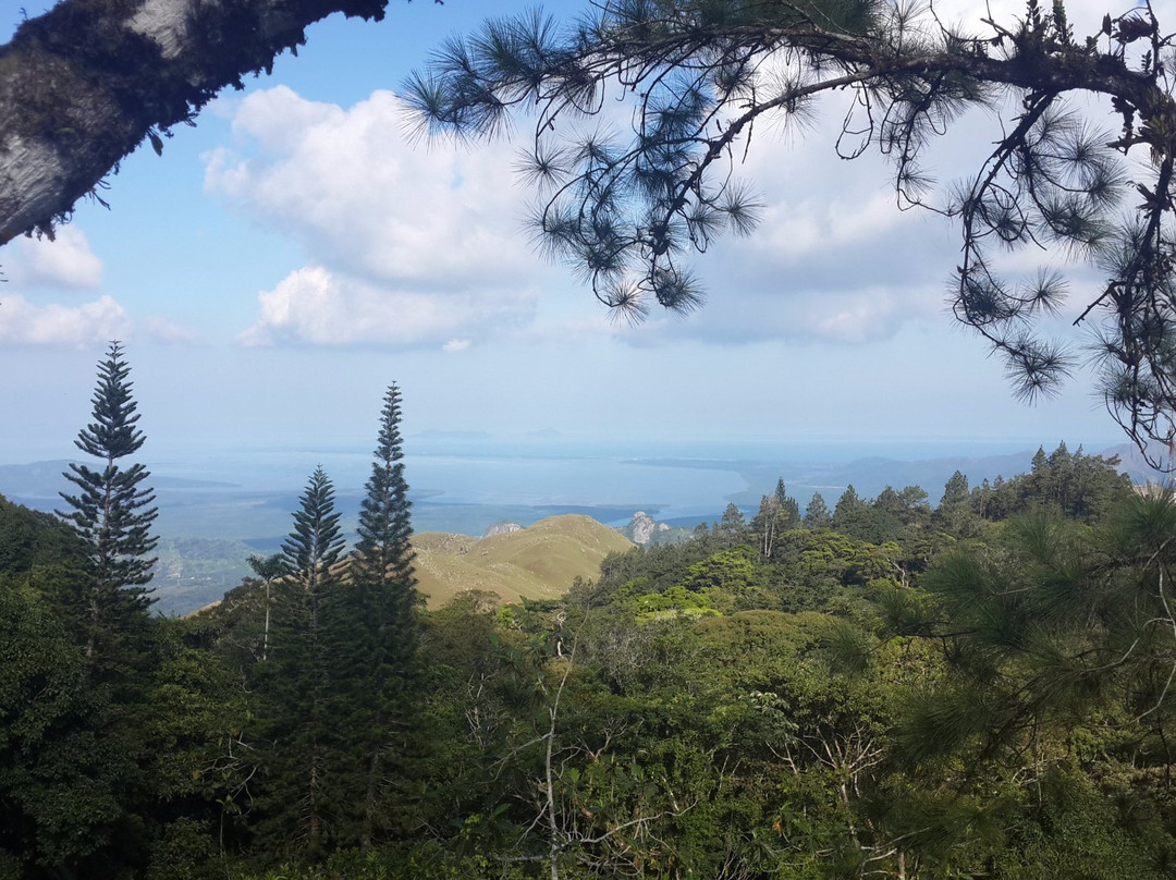Altos De Campana National Park景点图片