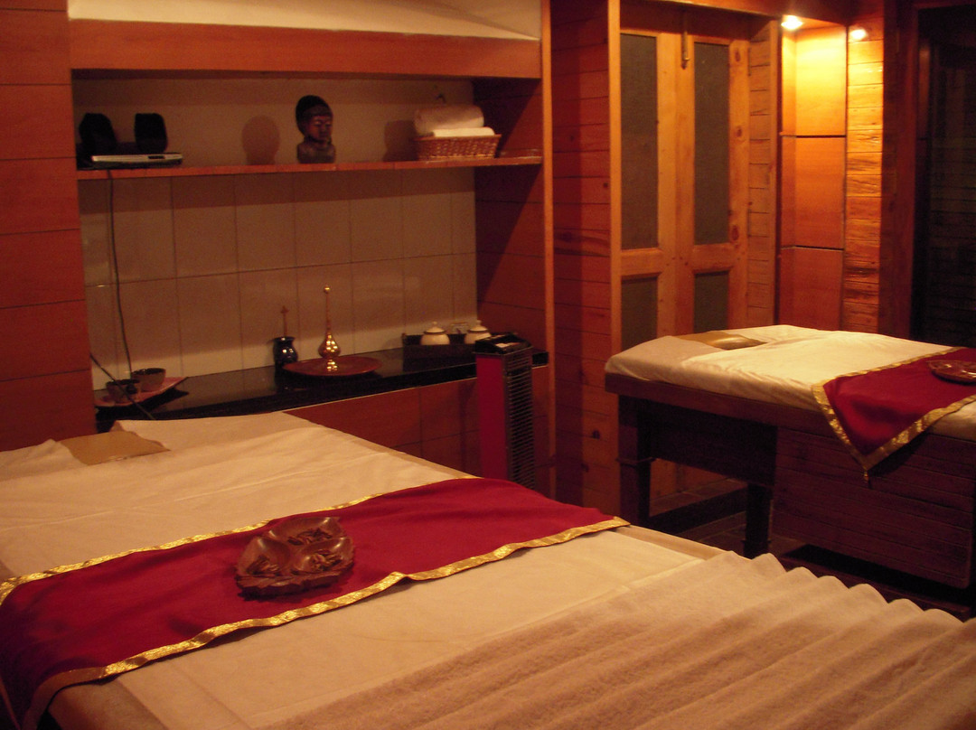 TVA Spa by Tattva景点图片