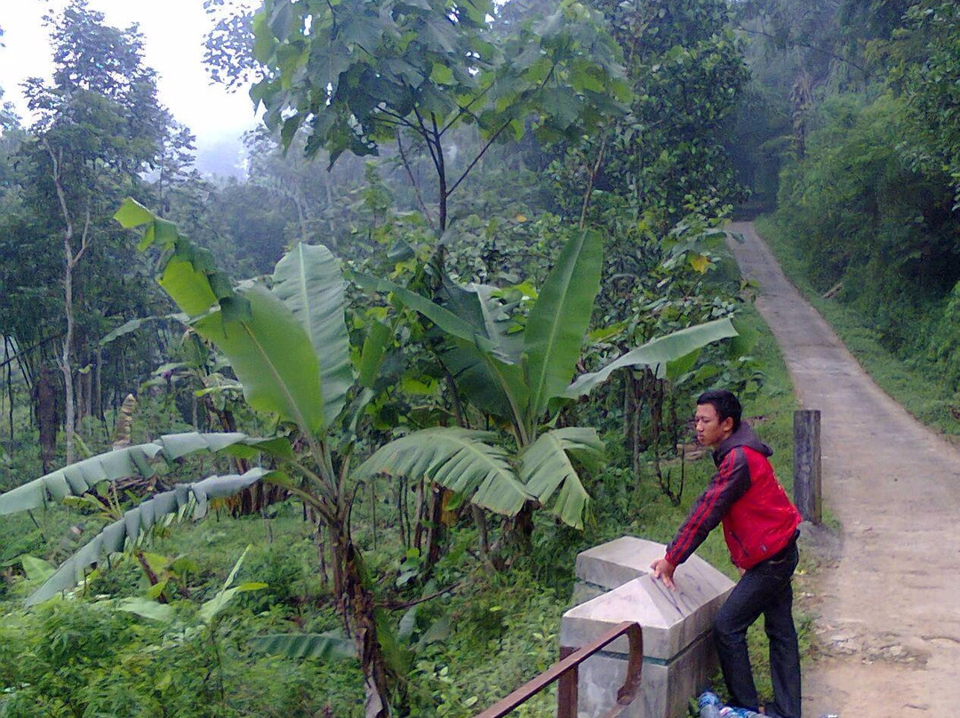 Tujuh Bidadari Waterfall景点图片