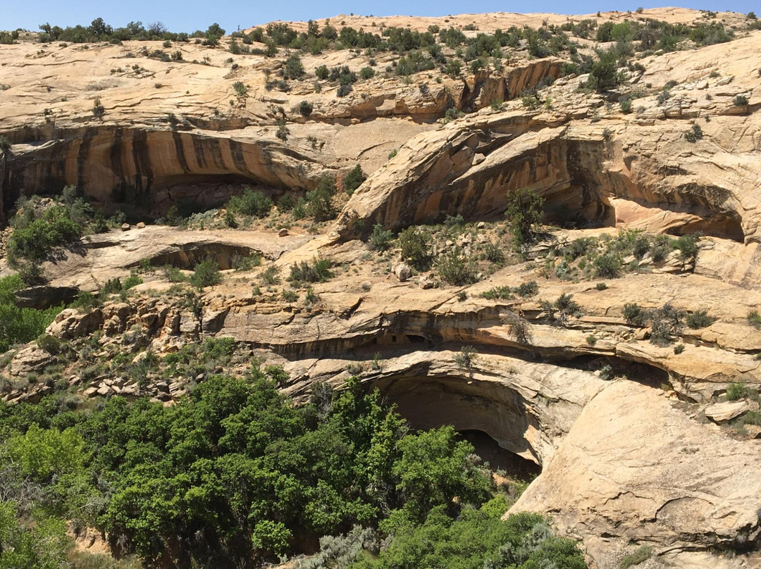 Neck Spring Trail-峡谷地国家公园必去景点