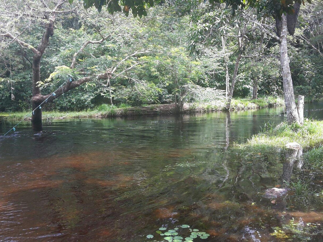 Crique Canceler-Sinnamary必去景点