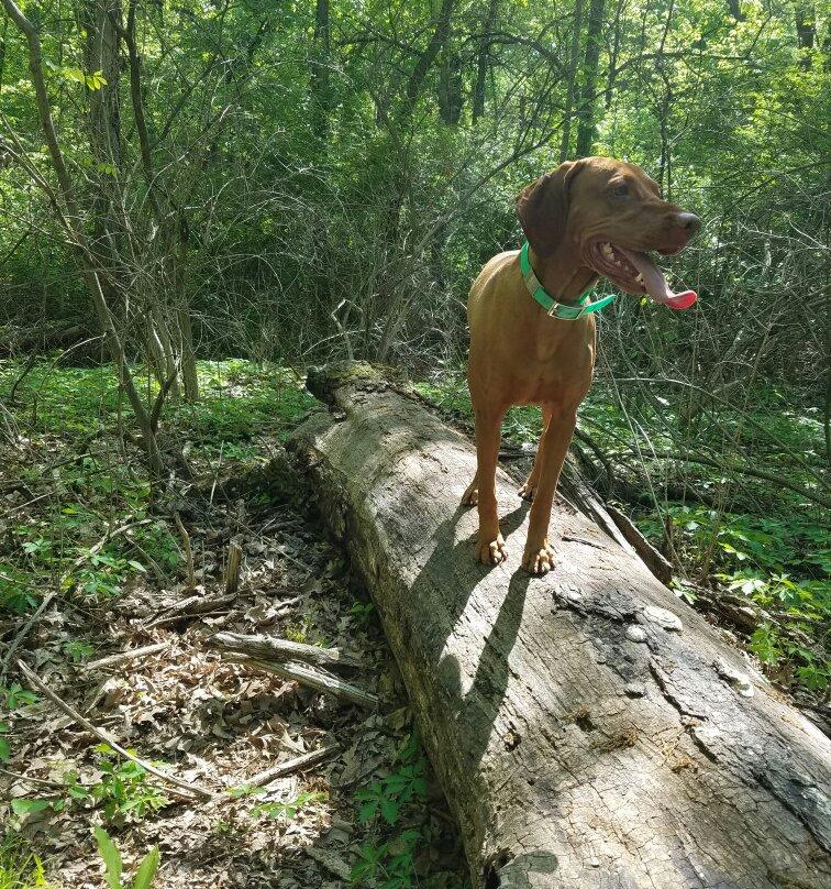 Cedar Crest-托皮卡必去景点