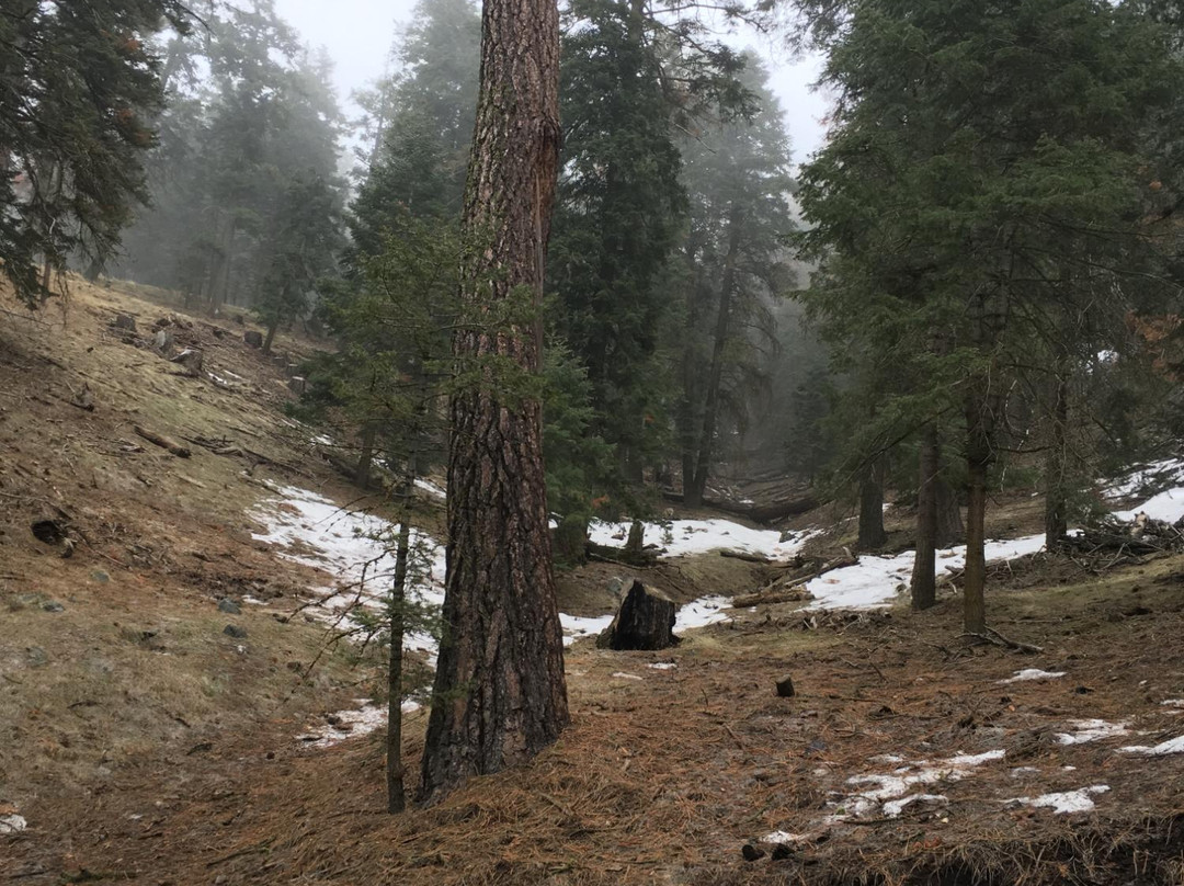 Tehachapi Mountain Park-特哈查比必去景点
