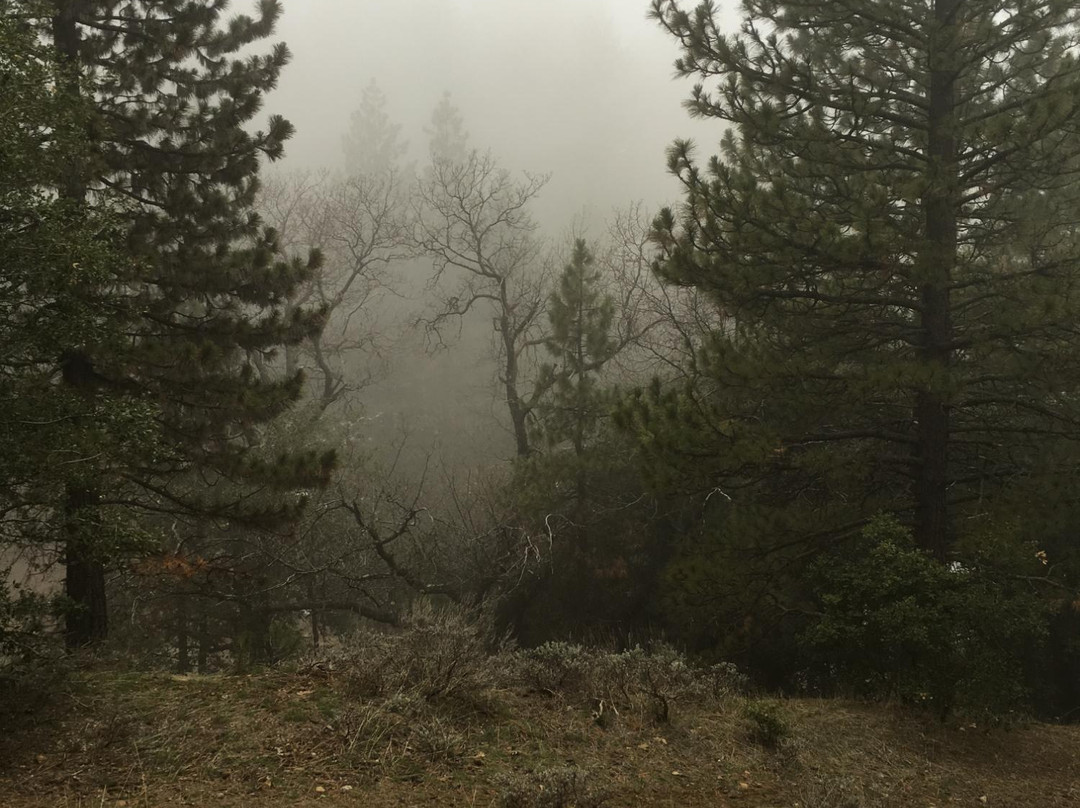 Tehachapi Mountain Park-特哈查比必去景点