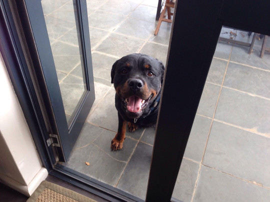 Enrica Rocca Cooking School Cape Town-康士坦提亚必去景点