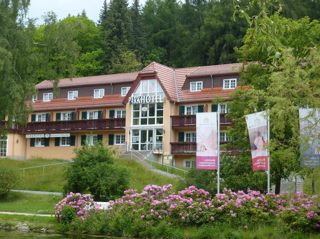 Parkhotel Bad Brambach主图