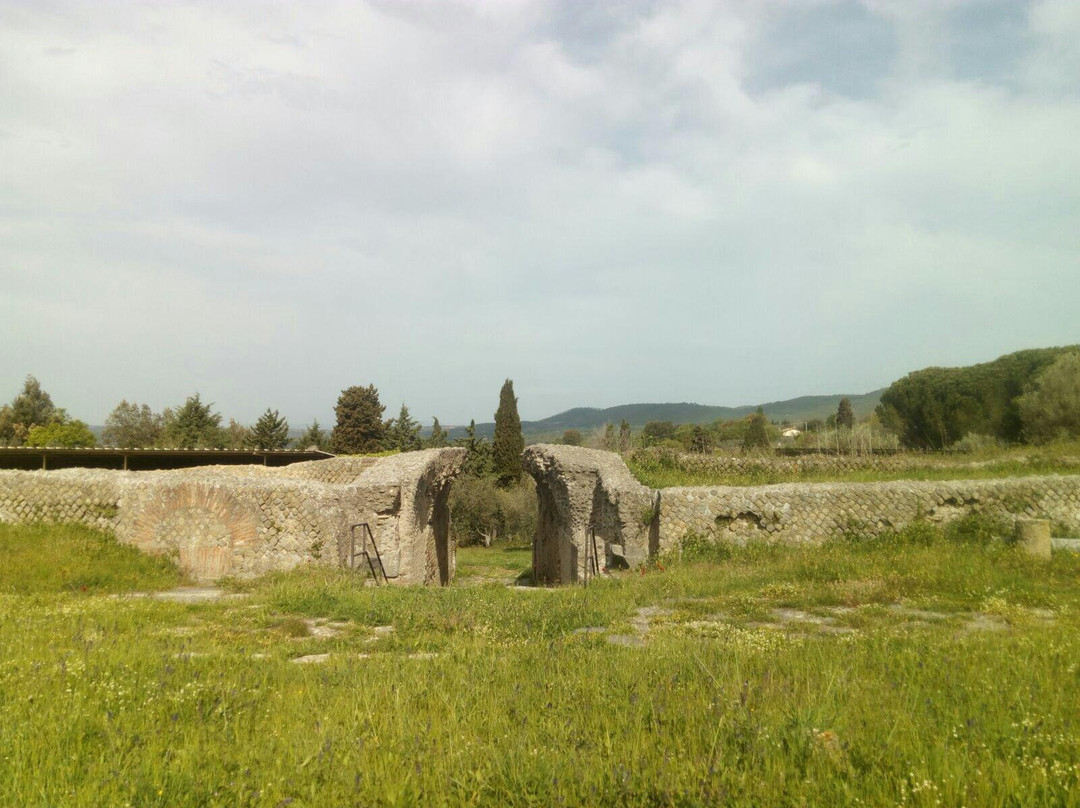 Area Archeologica di Poggio Moscini景点图片