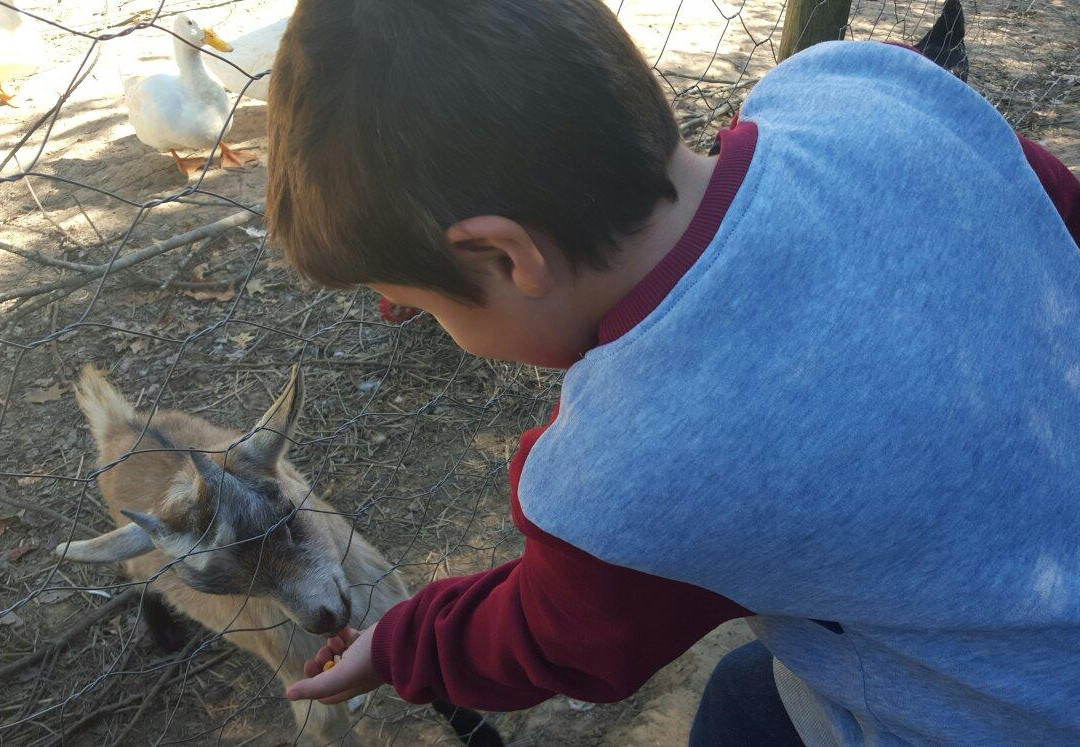 Pucketty Farm-安德堡必去景点