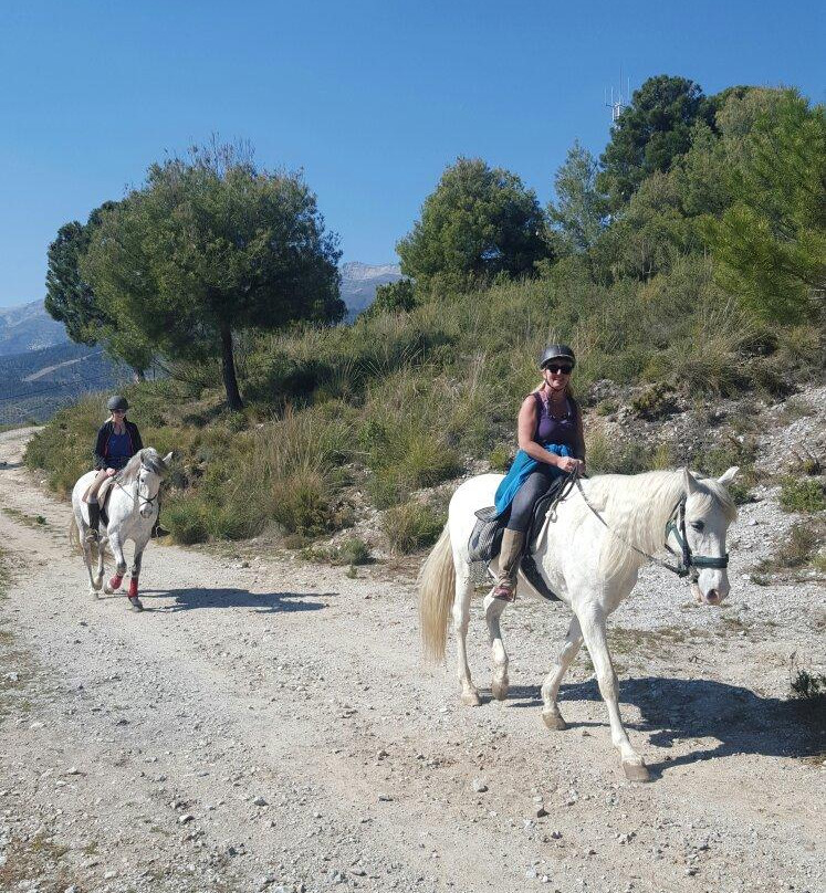 Los Caballos del Mosquin景点图片