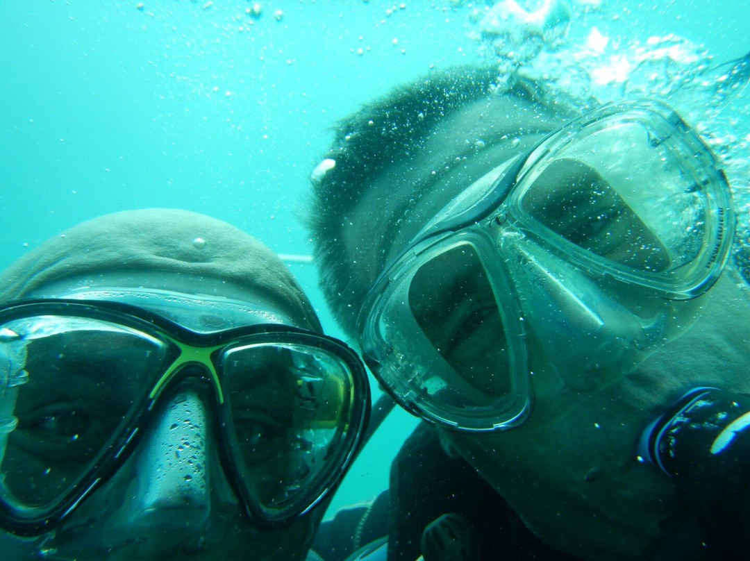 Emirates Divers Centre-阿布扎比必去景点