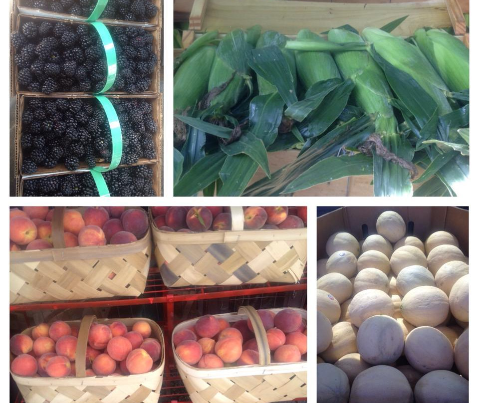 Whistlestop Market-Brevard必去景点