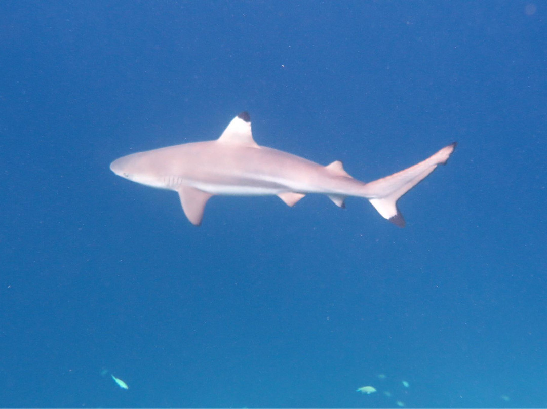 HP暗礁-满月岛必去景点
