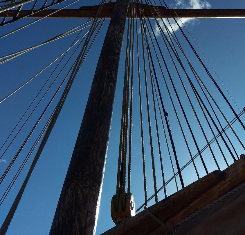 River to Rainforest-霍巴特必去景点