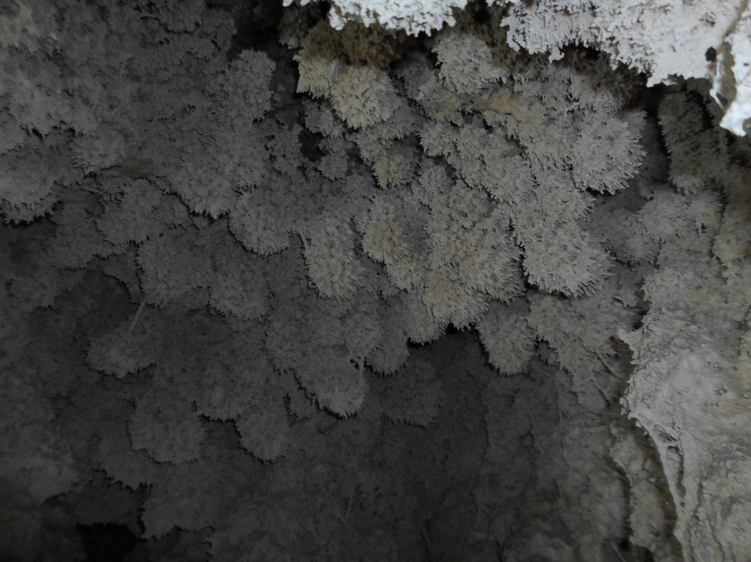 Gruta De Las Galaxias景点图片