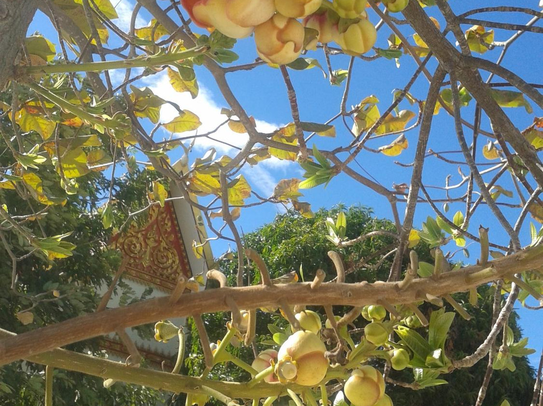Wat Srimongkol Nua-莫达汉必去景点