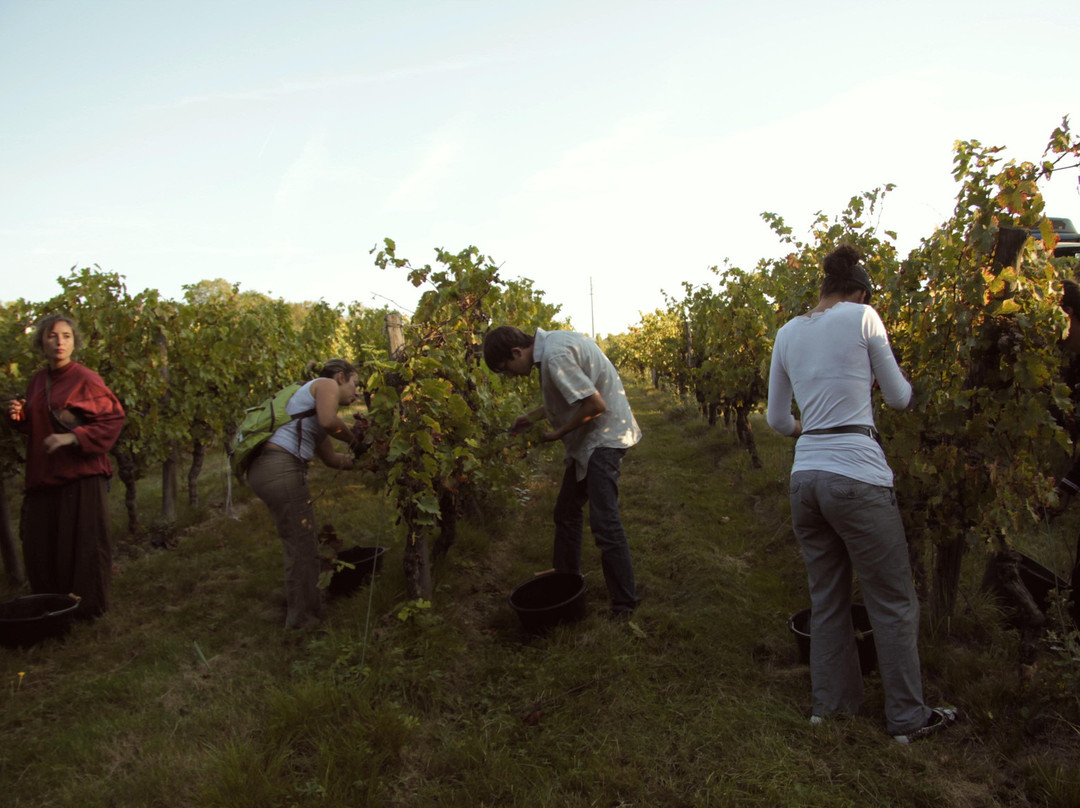 Domaine de Ribonnet-Beaumont-sur-Leze必去景点