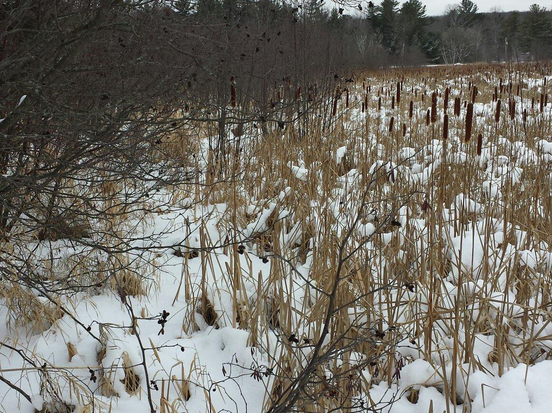 Nara Nature Park-霍顿必去景点