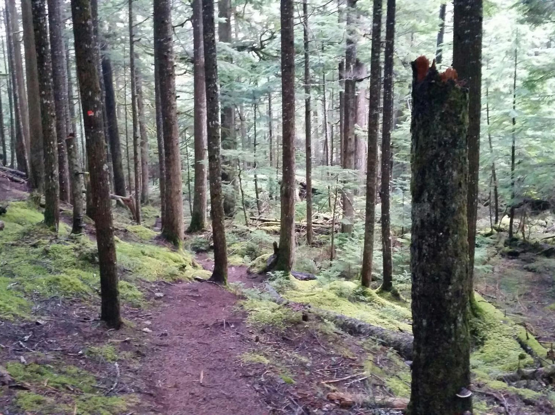 Hai Lake Mount Herman Provincial Park-Terrace必去景点