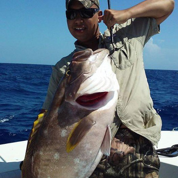 Captain Tom Hinterschied Fishing Charters-庞帕诺比奇必去景点