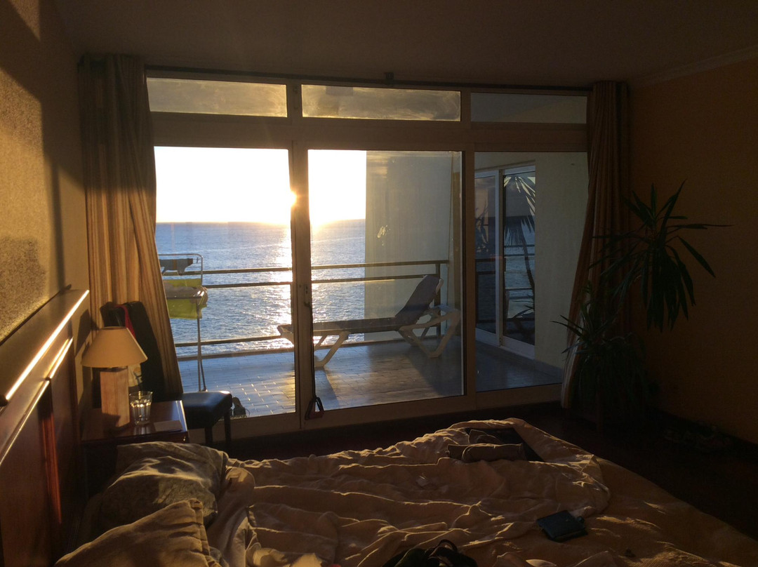 Atlantic Gardens主图