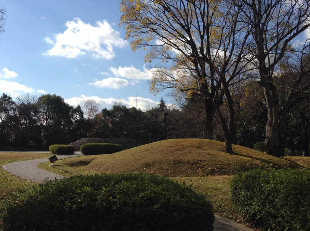 Hadano City Sakuradote Park The Ancient Tomb Exhibition Room-秦野市必去景点