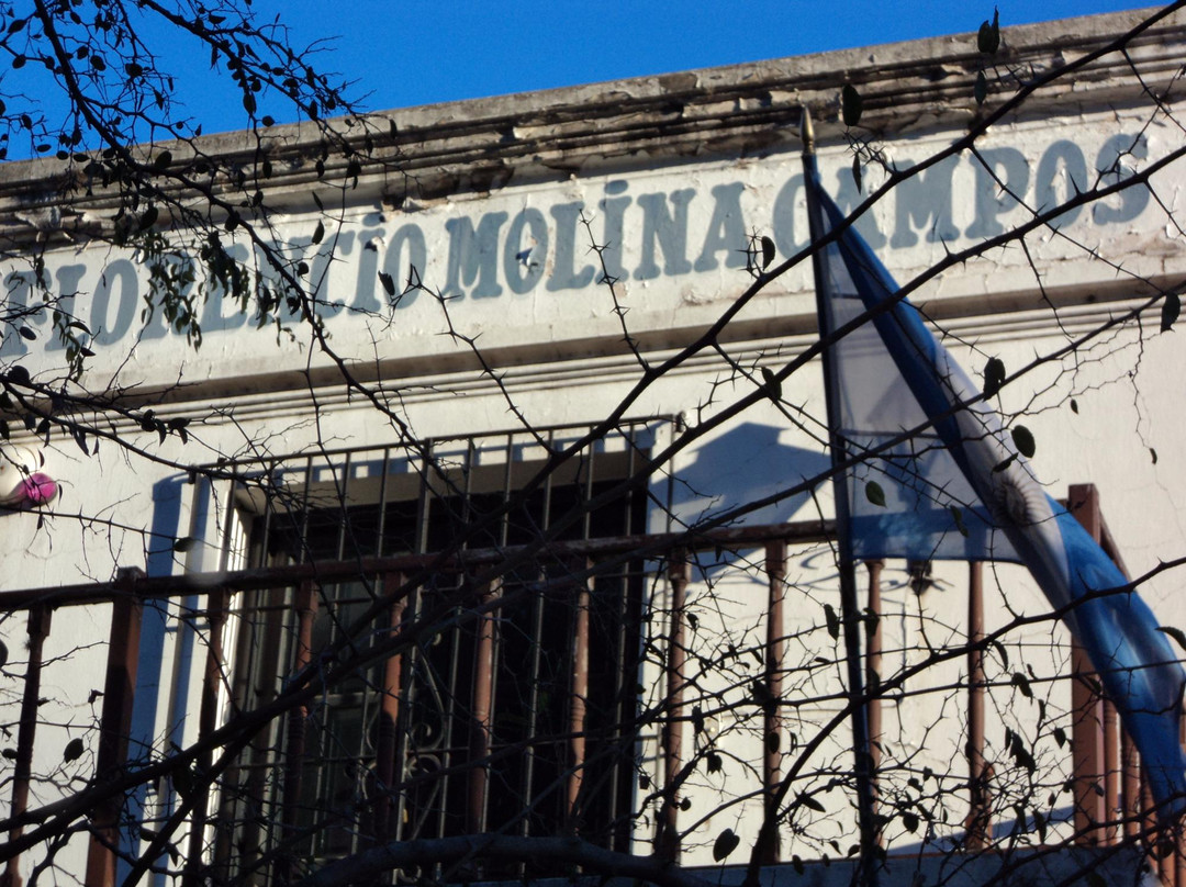Museo Florencio Molina Campos景点图片
