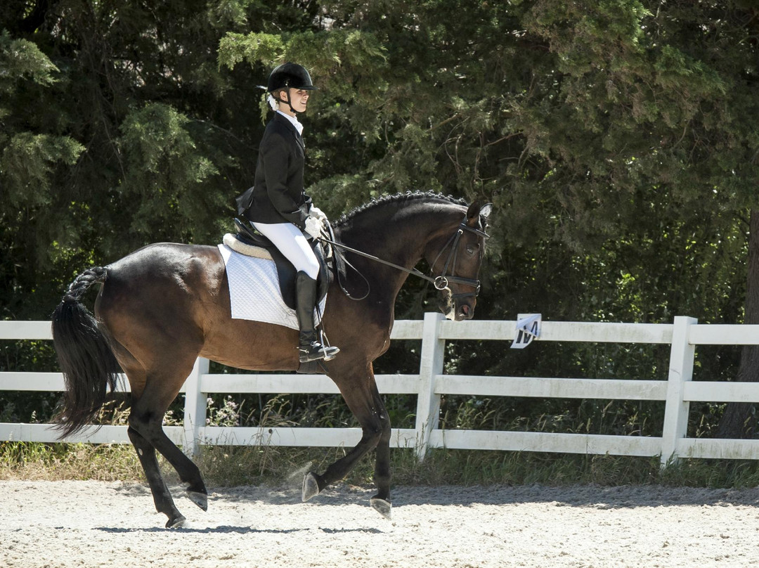 Centro Hipico da Costa do Estoril-卡斯凯什必去景点