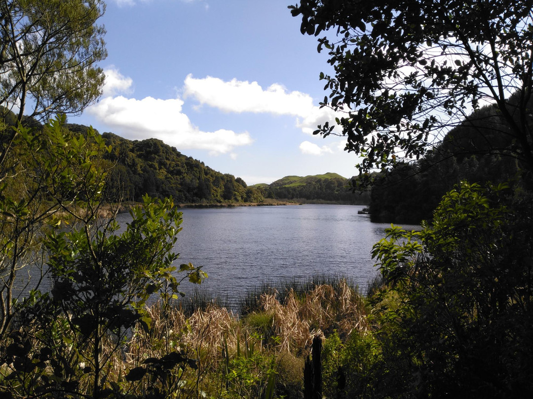 Rawhitiroa旅游攻略图片