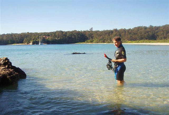 Sapphire Coast Marine Discovery Centre-伊登港必去景点